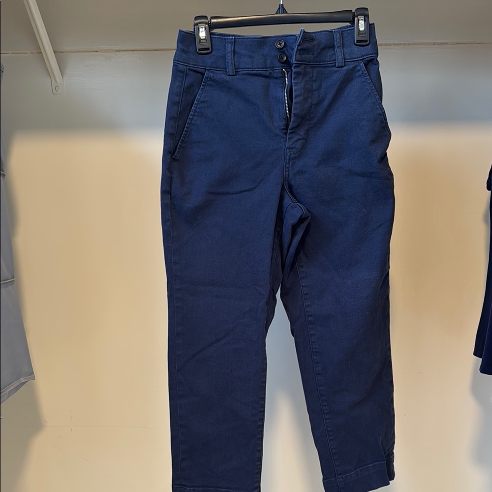 Everlane Navy Blue Barrel Pants